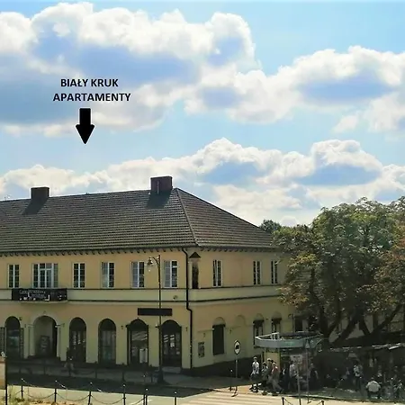 Bialy Kruk Vis-a-vis Jasnej Gory 2b Czestochowa