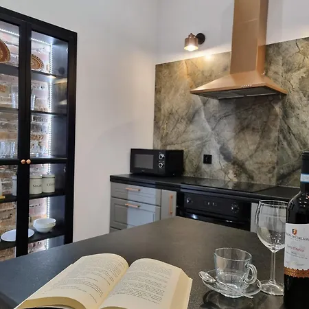 Apartment Bialy Kruk Vis-a-vis Jasnej Gory 2b
